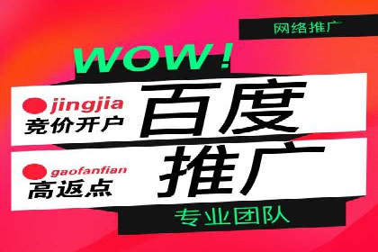 百度推广费用投入与品牌故事传播的案例分析